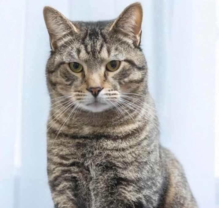 Photo of Yukon