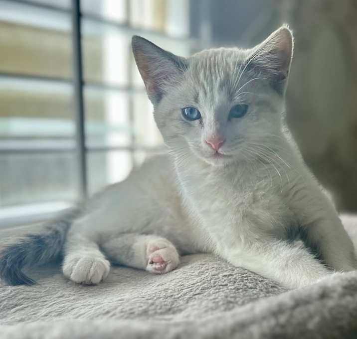 Photo of Hazel