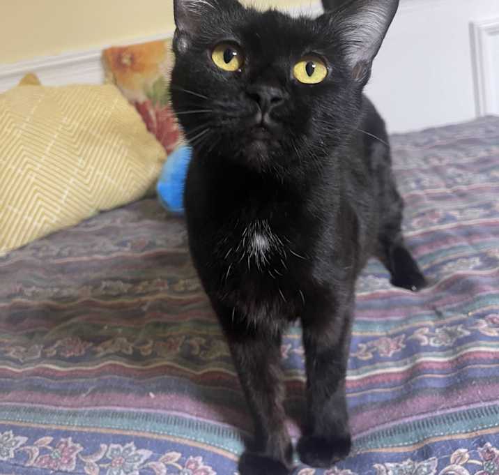 Photo of Ada