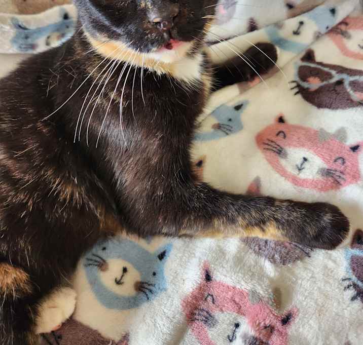 Photo of QUINN
