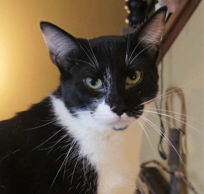 Photo of Zip