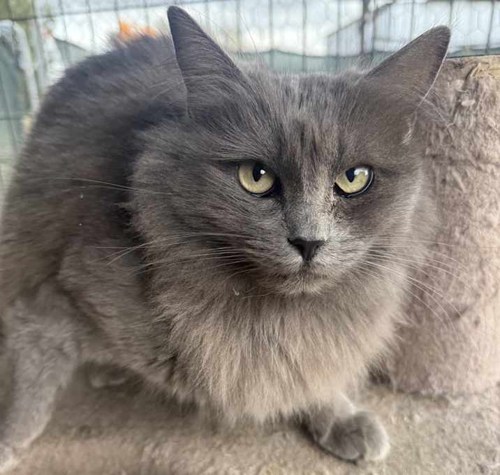 Photo of Shayla