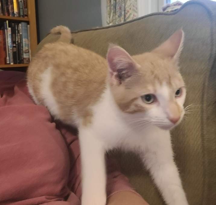 Photo of Malachi - must go with Lena