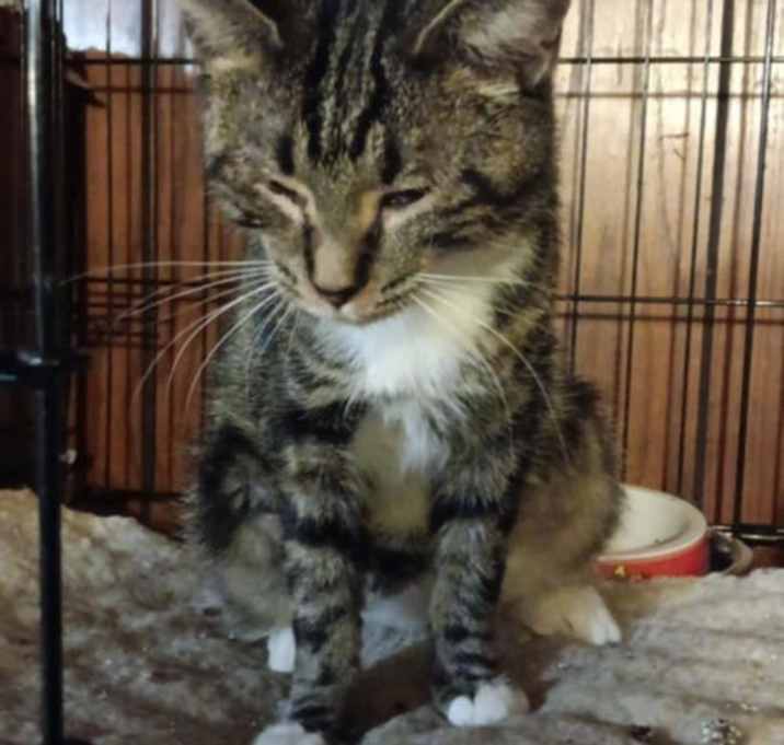 Photo of Zz Momma Millie - Courtesy