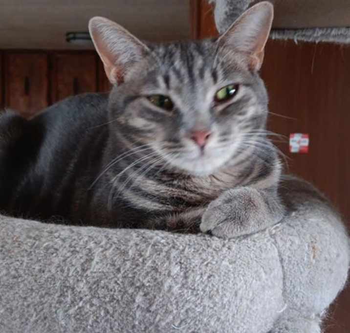 Photo of Baby Quill