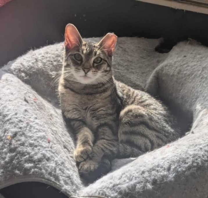Photo of Annie