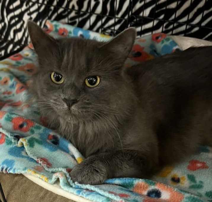 Photo of Esther