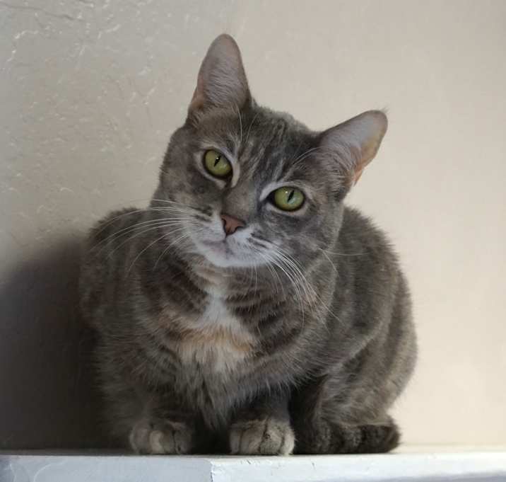 Photo of Pretty Penny