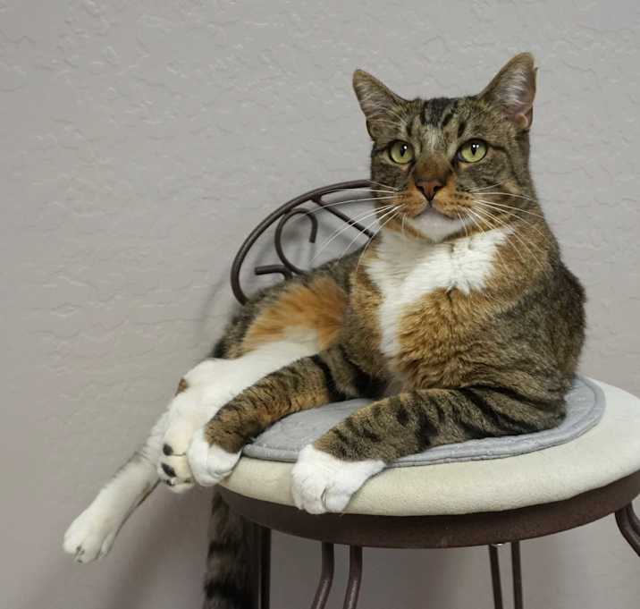 Photo of Sticky