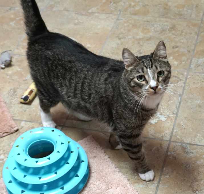 Photo of Scootie Bootie