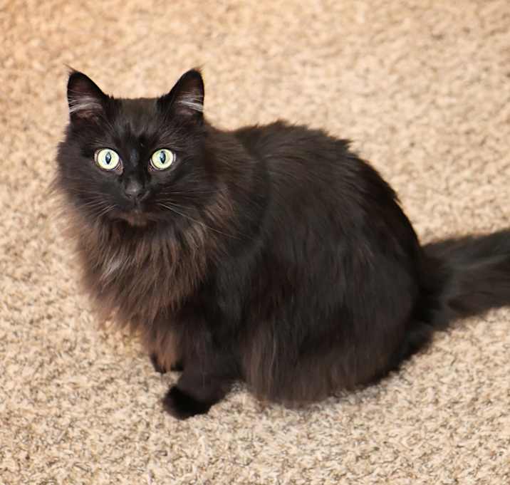 Photo of Raya