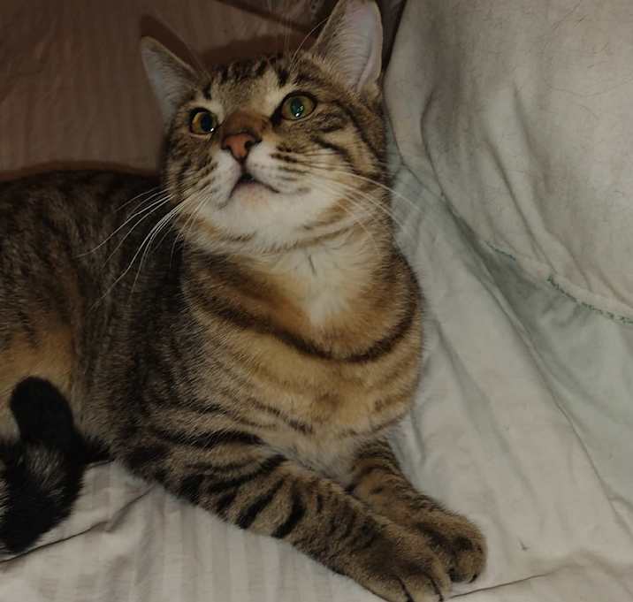 Photo of Sassy