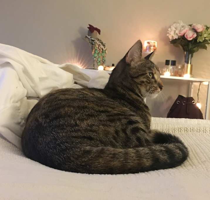 Photo of Sophie