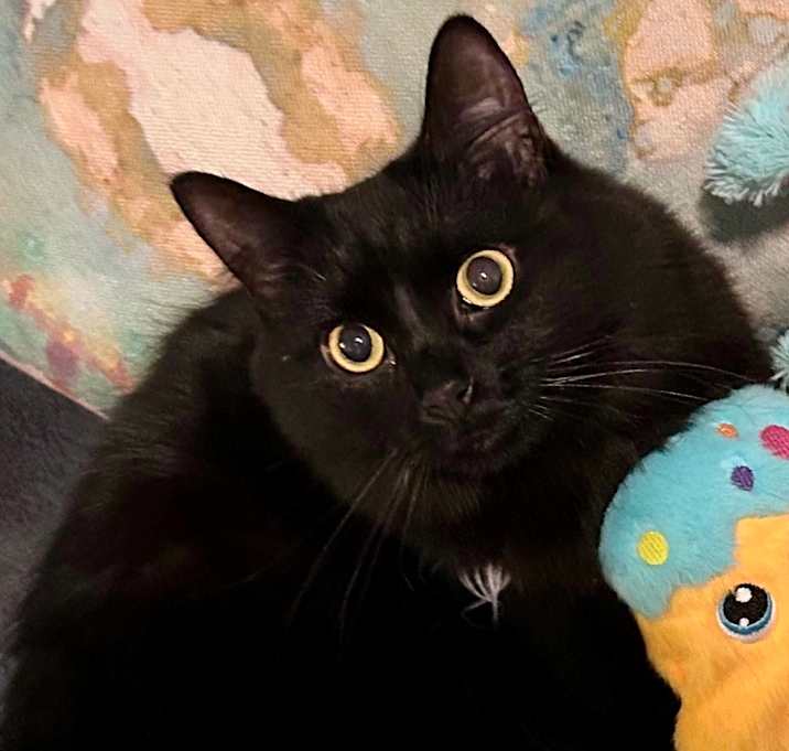 Photo of Freya