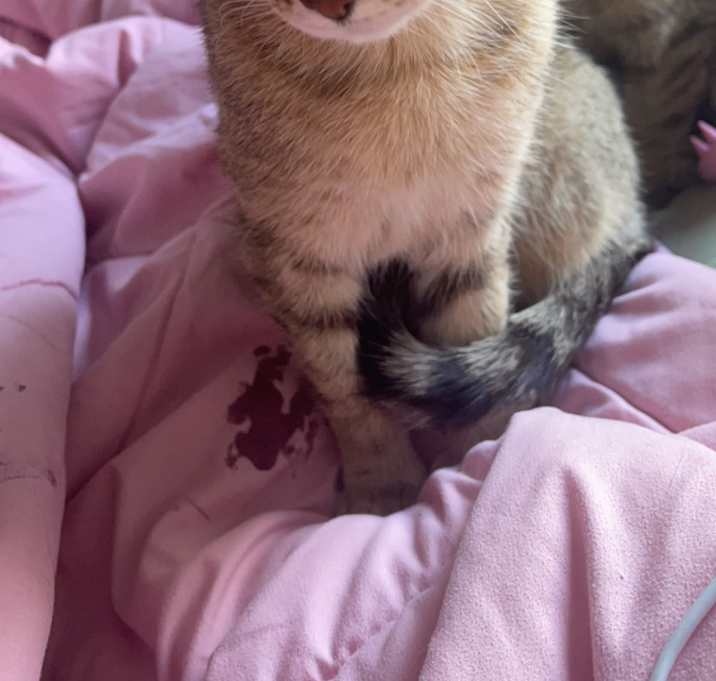 Photo of Lily/Violet