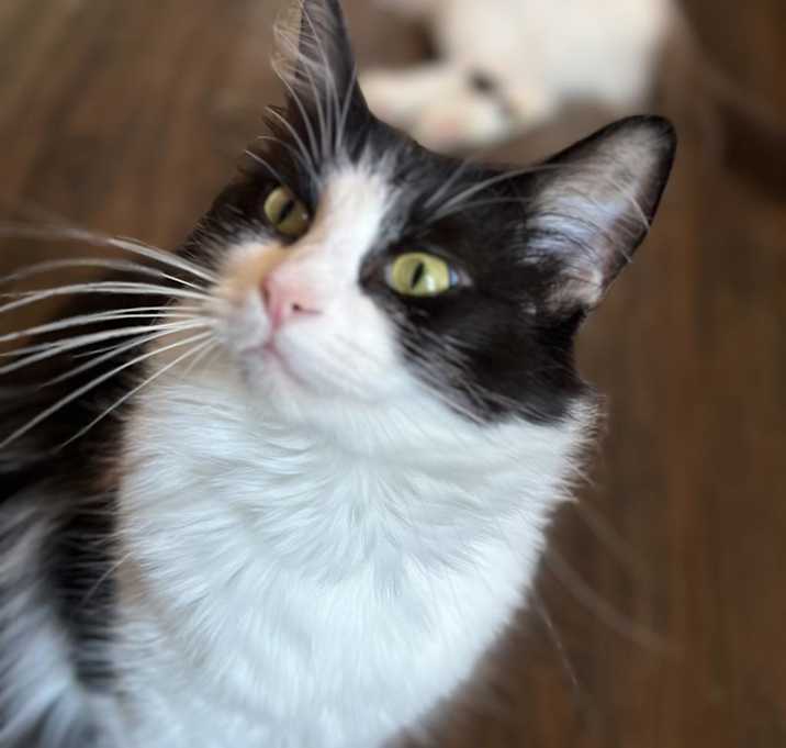 Photo of Margo 