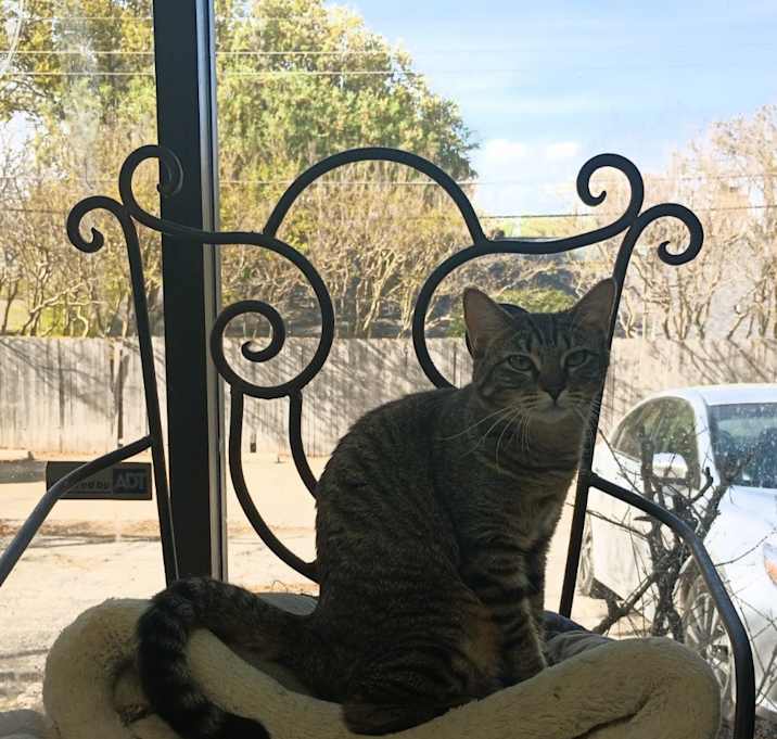 Photo of Lydia