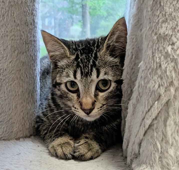 Photo of Tony