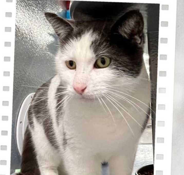 Photo of Sally