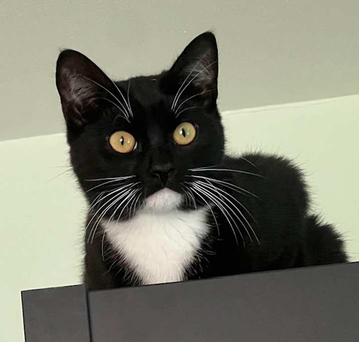 Photo of Winston