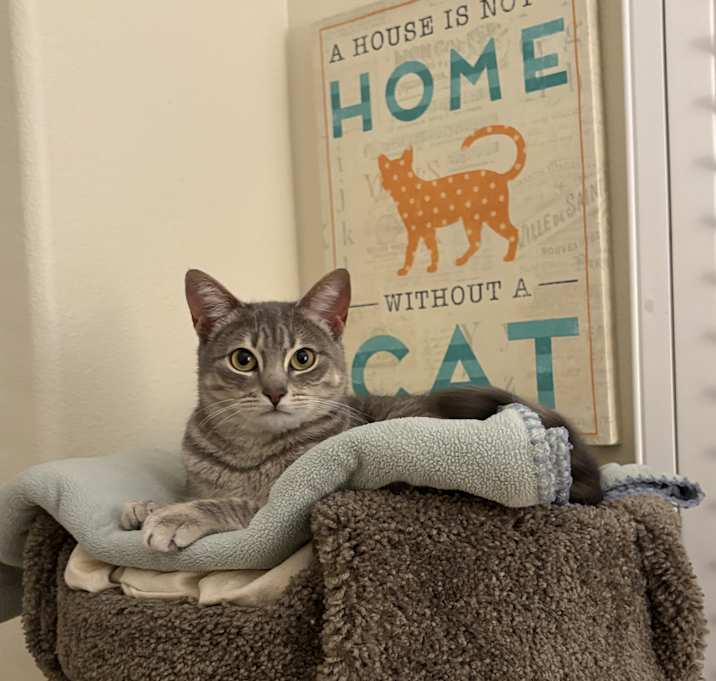 Photo of Esther