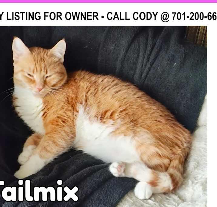 Photo of Tailmix-COURTESY LISTING