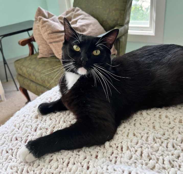 Photo of Bingo