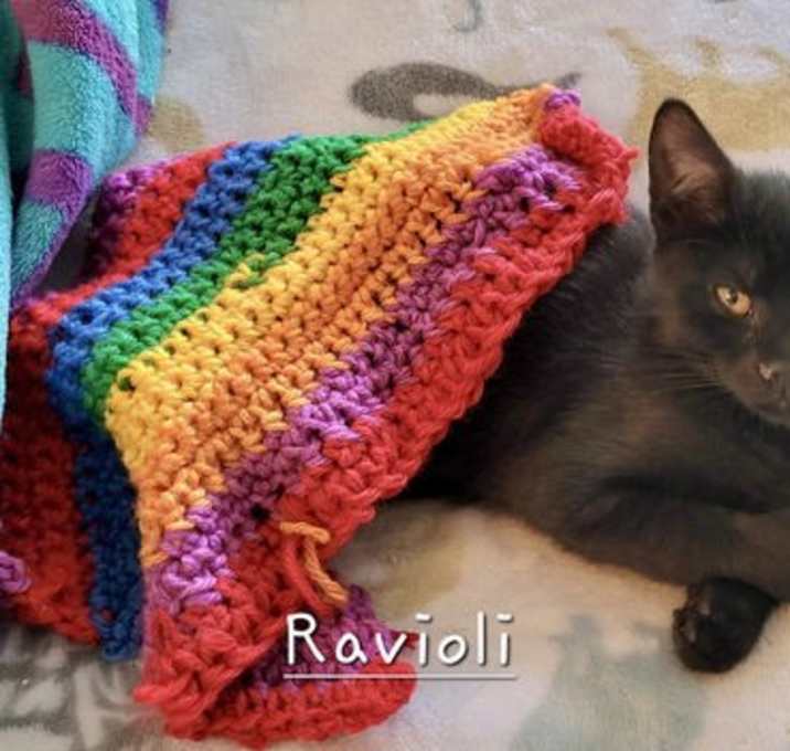 Photo of Ravioli