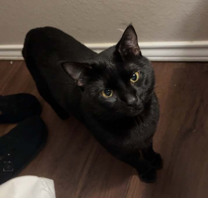 Photo of Salem