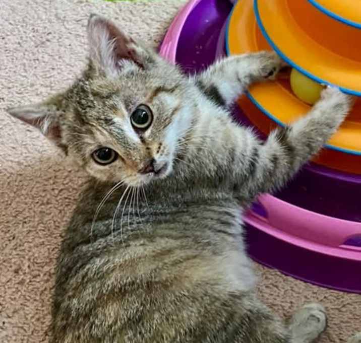 Photo of Tina