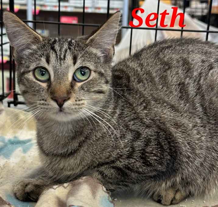 Photo of Seth