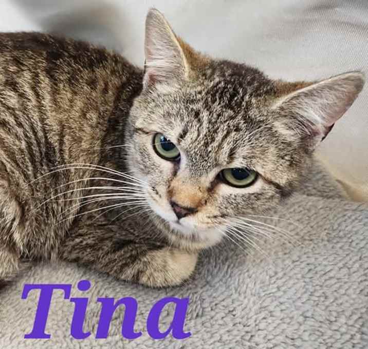 Photo of Tina