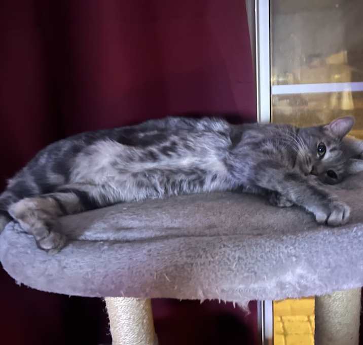Photo of Sara