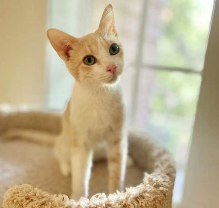 Photo of Charlotte