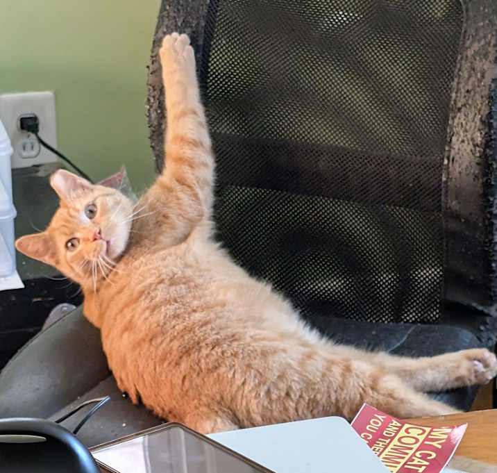 Photo of Charlie