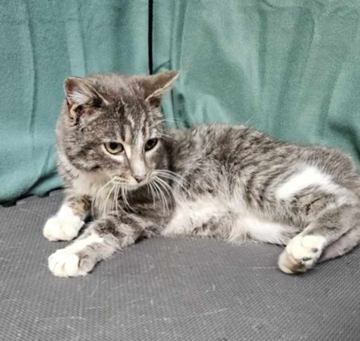 Photo of Squiggles