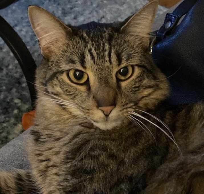 Photo of Leo
