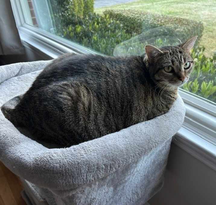 Photo of Izzy