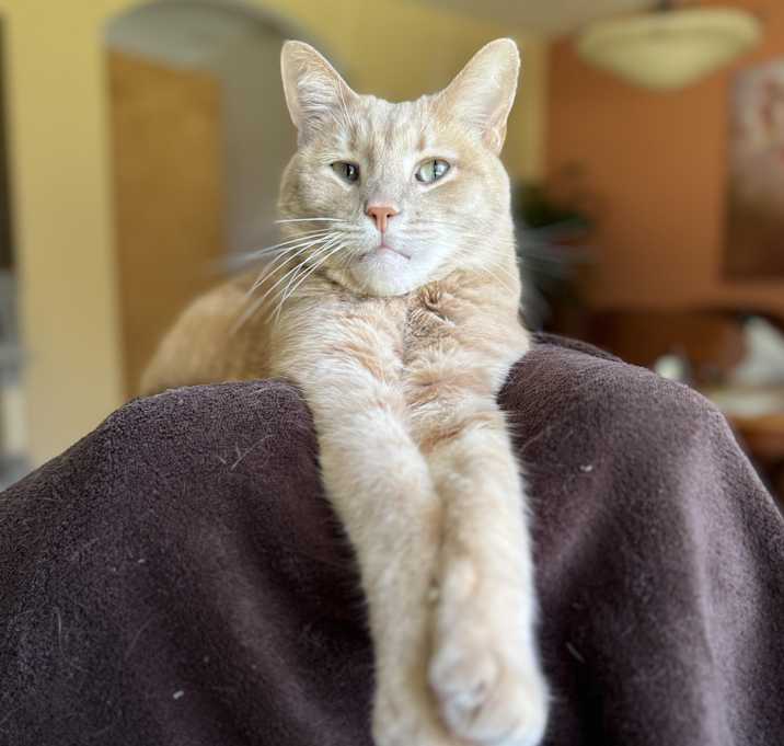 Photo of Chuck