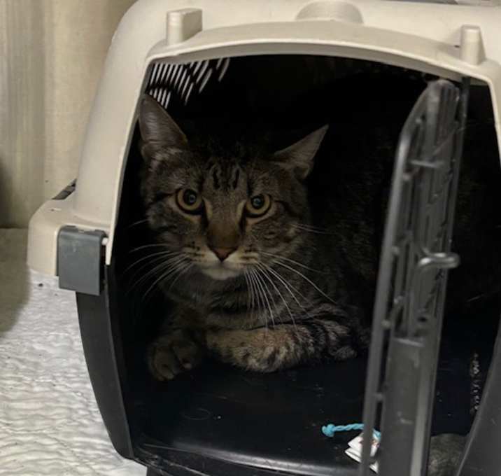 Photo of Finnick