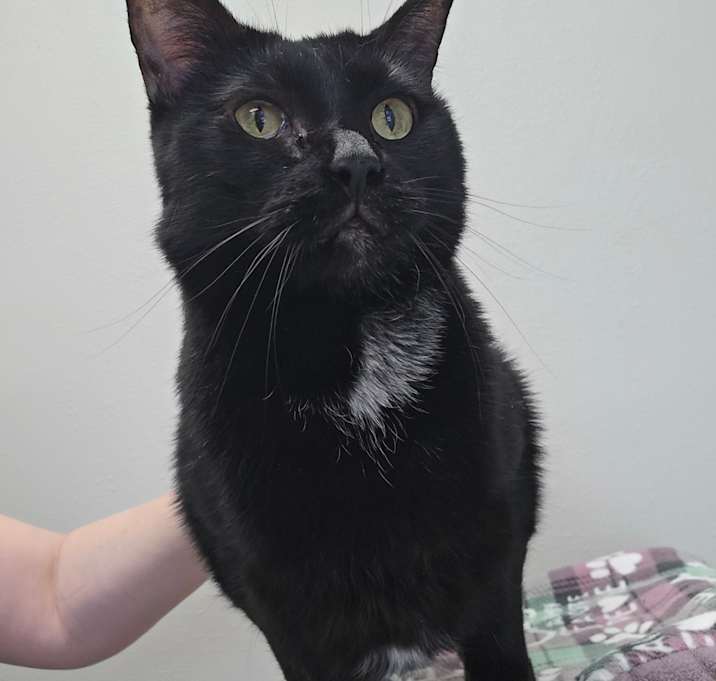 Photo of Opal May