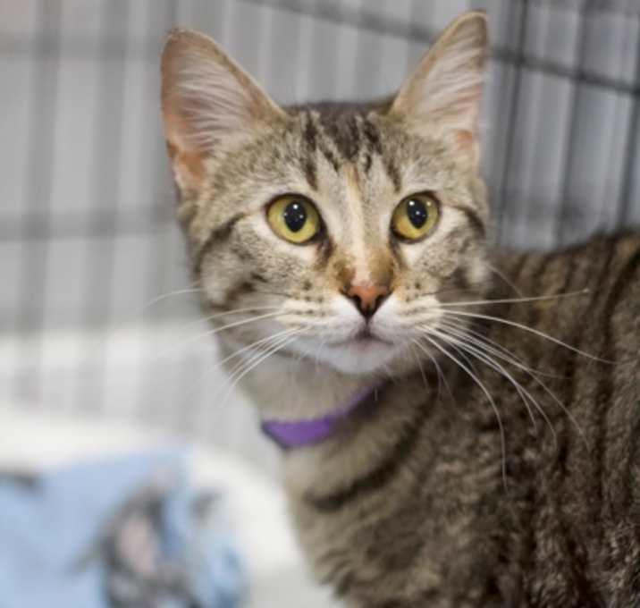 Photo of Freya