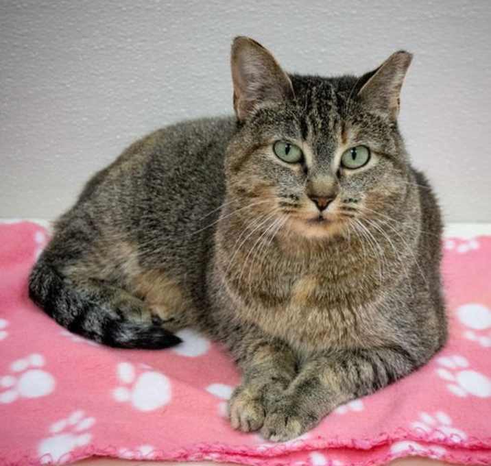 Photo of Lola