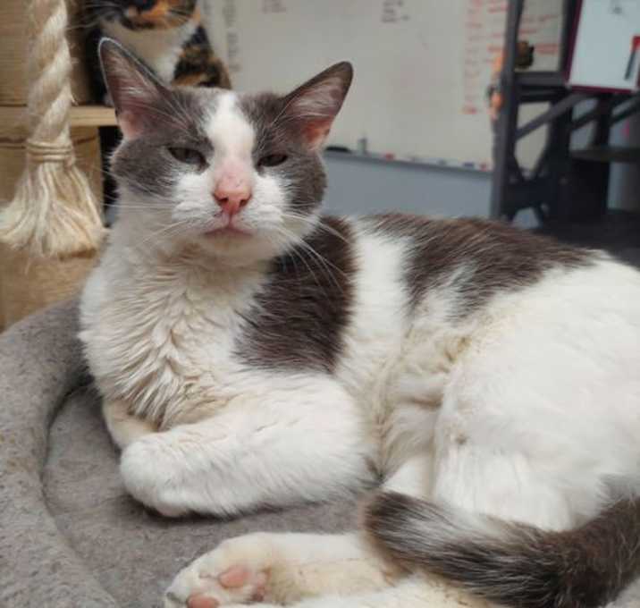 Photo of Jake @ The Cat's Brew