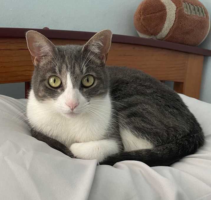 Photo of Devi