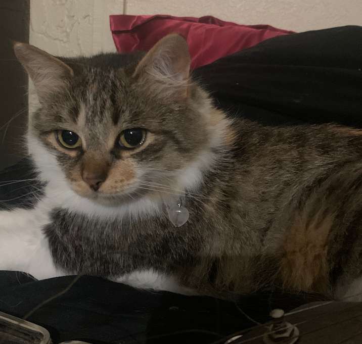 Photo of Athena