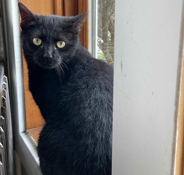 Photo of Charlotte
