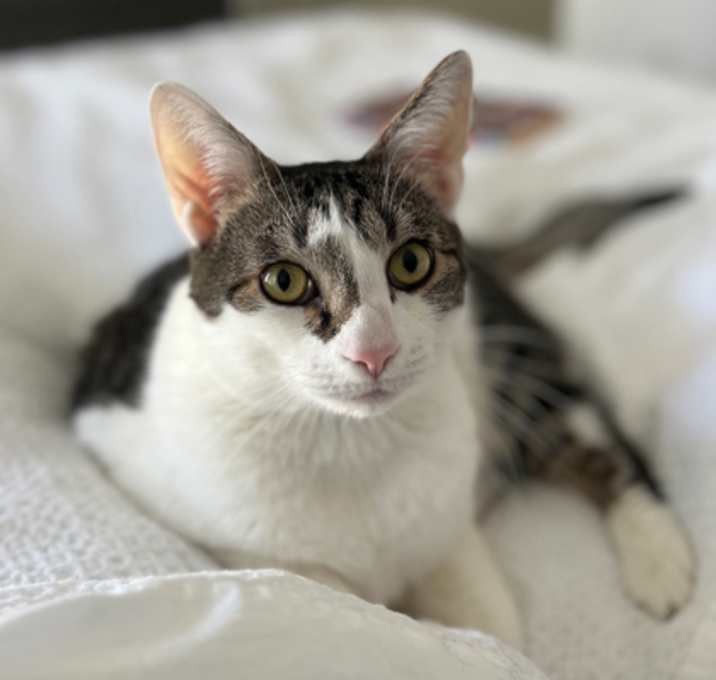 Photo of Michi
