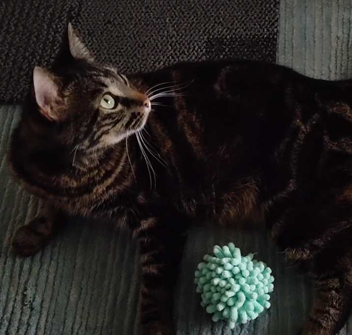 Photo of Ruby