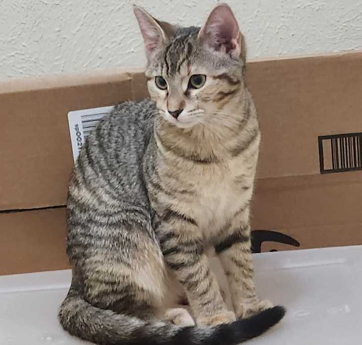 Photo of Skittles